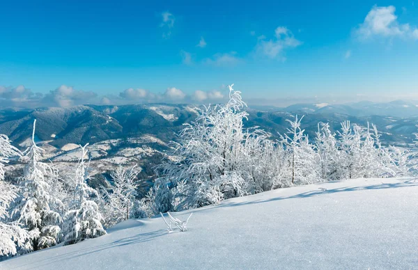 早晨冬天平静的山风景与美丽的结霜树和雪堆在倾斜 乌克兰 — 图库照片