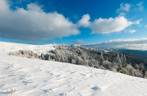 Зимний спокойный горный ландшафт с красивыми глазурящимися деревьями и снежными заносами на склоне (Карпаты, Украина
)