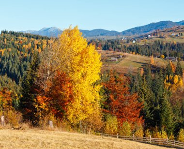 Sabah Karpat Dağları ve köy köyler yamaçlarında (Yablunytsia Köyü ve geçmek, Ivano-Frankivsk oblast, Ukrayna).