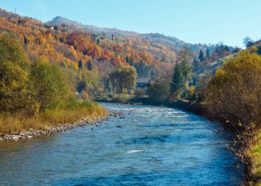 Sonbahar Karpat dağ beyaz Tysa nehir manzarası ile çok renkli sarı-turuncu-kırmızı-kahverengi ağaçta eğimi ve nehirde dağ gorge (Transcarpathia, Ukrayna).