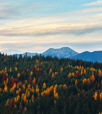 Akşam alacakaranlık (Yablunytsia Köyü ve geçmek, Ivano-Frankivsk oblast, Ukrayna).