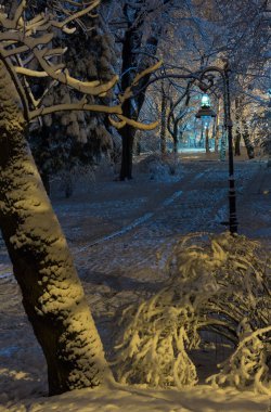 Güzel geçit ışıklı gece kış Ivan Franko park (Lviv şehir merkezi, Ukrayna).
