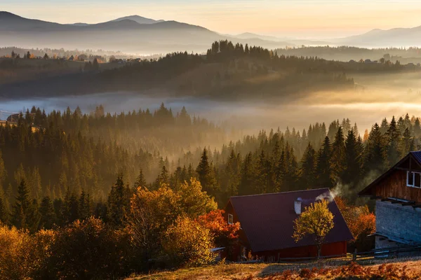 Erste Sonnenaufgangsstrahlen Und Schatten Durch Nebel Und Bäume Den Hängen — Stockfoto