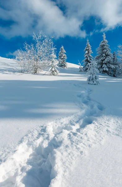 Winter Rustige Berglandschap Met Mooie Glazuur Bomen Voetpad Track Sneeuwlaag — Stockfoto