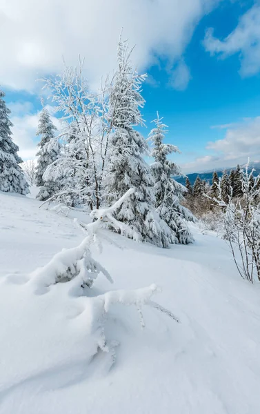 Зимовий Спокійним Гірський Краєвид Деревами Красиві Глазур Снігові Замети Схилі — стокове фото