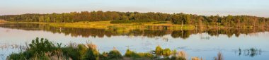 Akşam yaz göl yüksek çözünürlüklü panorama manzara ile su yüzeyi ve ormanda üzerine düşünceler ileri bitkiler. Balıkçı tanınmaz.