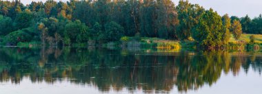 Akşam yaz göl panorama manzara güzel ağaçlar ile yansımaları su yüzeyi (yakınındaki Shklo yerleşim, Lviv Oblast, Ukraine).