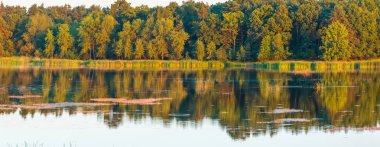 Akşam yaz göl panorama manzara güzel ağaçlar ile yansımaları su yüzeyi (yakınındaki Shklo yerleşim, Lviv Oblast, Ukraine).