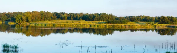 Verão Lago Paisagem Panorâmica Alta Resolução Com Plantas Reflexões Sobre — Fotografia de Stock
