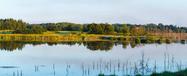 Verão Noite Lago Panorama Paisagem Com Plantas Reflexões Sobre Superfície — Fotografia de Stock