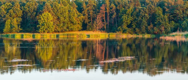 Letni Wieczór Jezioro Krajobraz Pięknych Drzew Odbicia Powierzchni Wody Pobliżu — Zdjęcie stockowe