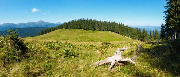 Estate Chornohora Vista Panoramica Della Cresta Montuosa Dall Altopiano Vesnjarka — Foto Stock