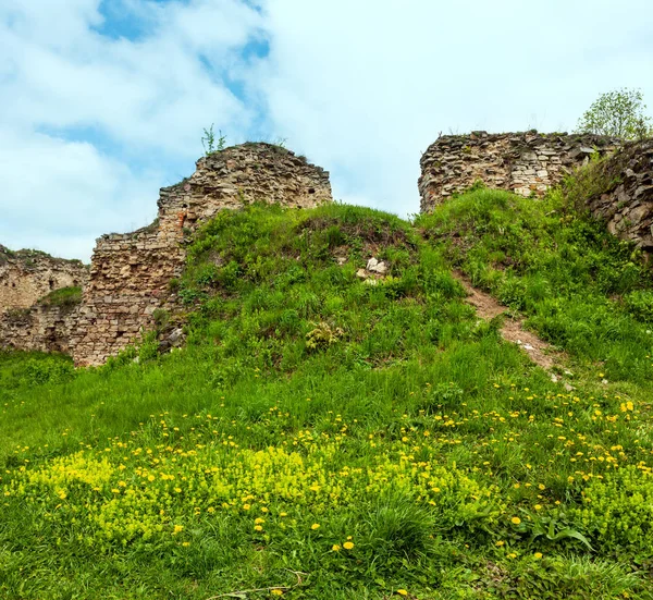 Diente León Primavera Glade Las Ruinas Del Castillo Jazlovets Distrito — Foto de Stock