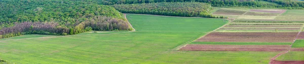 Colorful Fields Spring Country Panorama Landscape Ternopil Region Ukraine — Stock Photo, Image