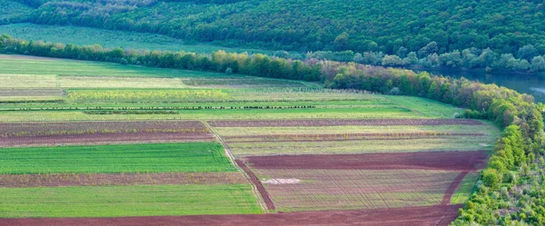 Renkli alanlar ülke manzara panorama bahar. Ternopil bölgesi, Ukrayna, Dnister Nehri Vadisi.