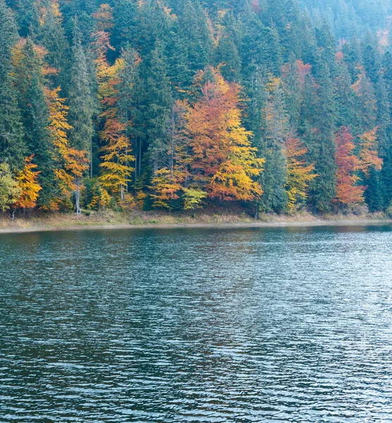 Parc Naturel National Synevyr Paysage Automne Est Grand Lac Dans — Photo