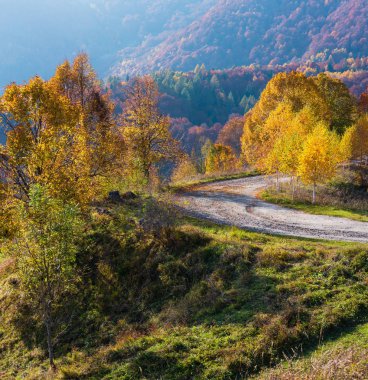 Dağ geçidi Güz Karpat Dağları kirli ikincil yol ve çok renkli sarı-turuncu-kırmızı-kahverengi ağaçlar yamaçlarında (Rakhiv pass, Transcarpathia, Ukrayna).