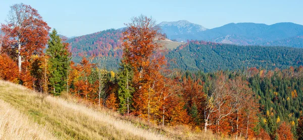 Herfst Hellingen Van Ochtend Met Kleurrijke Bomen Van Karpaten Yablunytskyj — Stockfoto