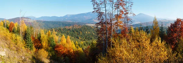 Herfst Hellingen Van Ochtend Met Kleurrijke Bomen Van Karpaten Yablunytskyj — Stockfoto