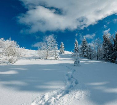 Kış sakin dağ manzarası güzel süs ağaçları ve snowdrifts aracılığıyla patika yolda dağ yamacı (Karpat Dağları, Ukrayna)