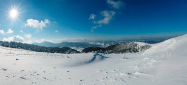 Dağ panorama manzara güzel süs ağaçları ve snowdrifts yamaç (Karpat Dağları, Ukrayna ile güneşli sabah kış sakin)
