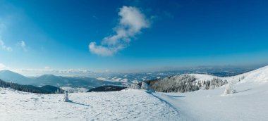 Kış sakin dağ panorama manzara güzel süs ağaçları ve snowdrifts yamaç (Karpat Dağları, Ukrayna)