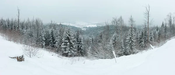 Sabah erken kış dağ panorama çam ağaçları buzlanma ile manzara ve spor Bukovel tatil köyü uzak (Karpat Dağları, Ukrayna) kayak. Bazı blizzard ile rüzgarlı kötü hava bulutlu.