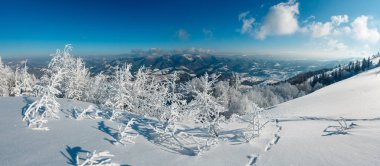 Dağ panorama manzara güzel süs ağaçları ve snowdrifts yamaç (Karpat Dağları, Ukrayna ile sabah kış sakin)