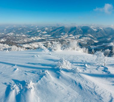 Dağ manzarası güzel süs ağaçları ve snowdrifts yamaç (Karpat Dağları, Ukrayna ile sabah kış sakin)
