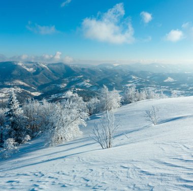 Dağ manzarası güzel süs ağaçları ve snowdrifts yamaç (Karpat Dağları, Ukrayna ile sabah kış sakin)