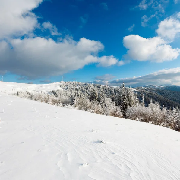 冬天平静的山风景与美丽的结霜树和雪堆在倾斜 乌克兰 — 图库照片