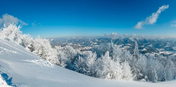 Morning winter calm mountain panorama landscape with beautiful frosting trees and footpath track through snowdrifts on mountain slope (Carpathian Mountains, Ukraine)