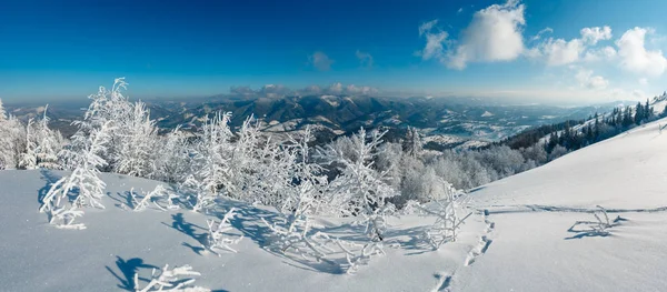 Zimní Ráno Klidné Horské Panorama Krajiny Krásnou Polevu Stromy Závěje — Stock fotografie