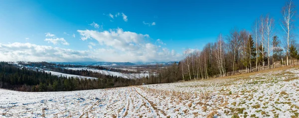 冬天山全景风景与领域在山倾斜 桦树树丛和村庄在远 Bogorodchany Ivano Frankivsk 乌克兰 — 图库照片