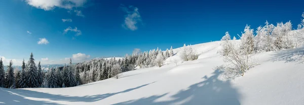 Téli Nyugodt Hegyi Panoráma Táj Fák Gyönyörű Fagyosan Snowdrifts Lejtőn — Stock Fotó