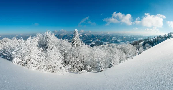 Zima Krajobraz Panorama Spokojne Górskie Lukier Pięknych Drzew Zaspy Stoku — Zdjęcie stockowe