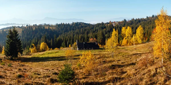 Piste Mattutine Dei Carpazi Villaggio Yablunytsia Oblast Ivano Frankivsk Ucraina — Foto Stock