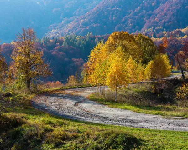 Грязная Вторичная Дорога Горному Перевалу Осенью Карпаты Разноцветные Желто Оранжево — стоковое фото