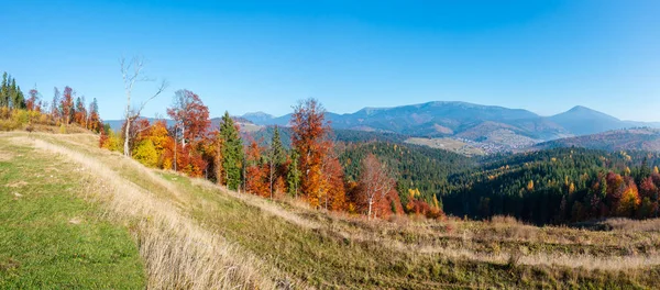 Πρωί Φθινόπωρο Πλαγιές Πολύχρωμα Δέντρα Των Καρπαθίων Yablunytskyj Pass Ivano — Φωτογραφία Αρχείου