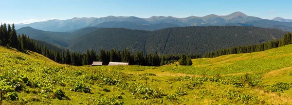 Widok Grzbiet Góry Lato Czarnohory Płaskowyżu Vesnjarka Podkarpacie Ukraina Trzech — Zdjęcie stockowe