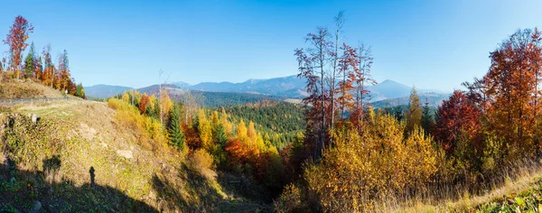 Inclinações Outono Manhã Com Árvores Coloridas Cárpatos Yablunytskyj Pass Ivano — Fotografia de Stock