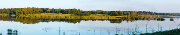 Noite Paisagem Lago Verão Com Plantas Reflexões Sobre Superfície Água — Fotografia de Stock