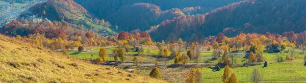 Dirty secondary road to mountain pass in autumn Carpathian mountains and multicolored  trees on slopes (Rakhiv pass, Transcarpathia, Ukraine). Three shots stitch high-resolution panorama.