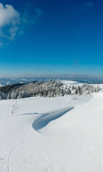 Inverno Paisagem Serena Montanha Com Belas Árvores Geada Nevascas Encosta — Fotografia de Stock