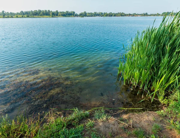 Picturesque Summer Lake Calm Rushy Shore Concept Tranquil Country Life — Stock Photo, Image