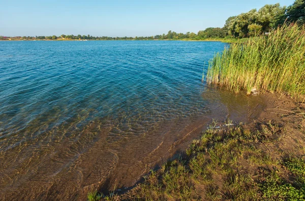 美しい夏の湖は イグサの茂った海岸を落ち着かせます 静かな田舎の生活 環境にやさしい観光 キャンプ 釣りの概念 — ストック写真