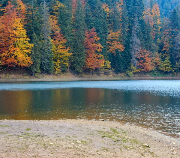 Národní Přírodní Park Synevyr Podzimní Krajiny Největší Jezero Ukrajinské Karpaty — Stock fotografie