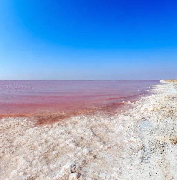 Rosa Extrem Salziger Sywaschsee Gefärbt Durch Mikroalgen Mit Kristallinen Salzablagerungen — Stockfoto