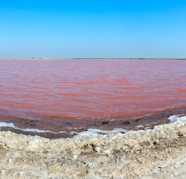 Son derece tuzlu Syvash Gölü kristal tuz ifadeleri ile mikroalg tarafından renkli, pembe. Olarak da bilinen Putrid deniz veya Rotten deniz. Ukrayna, Kherson Region, Crimea ve Arabat tükürük.