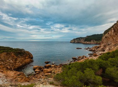 Defne deniz yaz görünümü ile kozalaklı ağaçlar önünde. Costa Brava, Katalonya, İspanya.